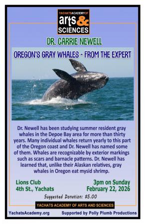 Oregon's Gray Whales – From the Expert